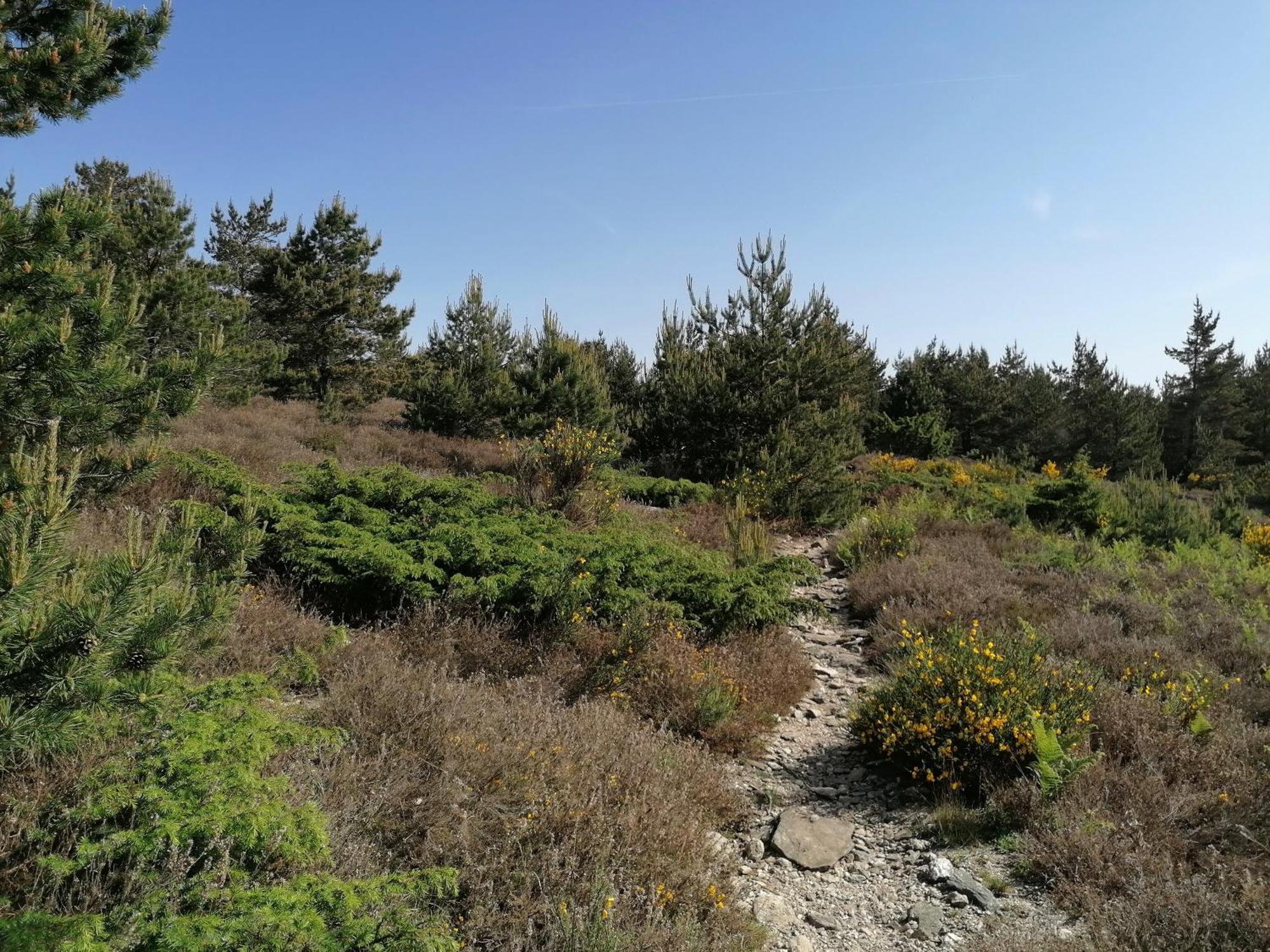 Gite Cote Nature Cabrerolles 외부 사진
